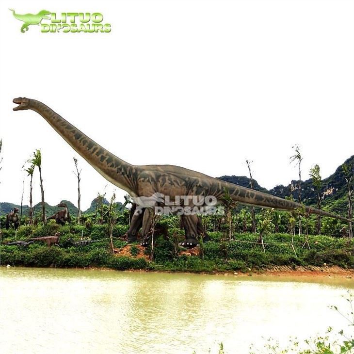 Diplodocus (3)(001)